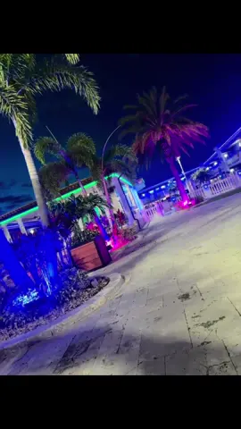 #tiktokgostay #tiktokpartner #tampa 