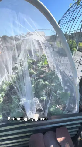 #tiktokshopfalldealsforyou #spotlightfinds #tiktokshopblackfriday #tiktokshopcybermonday #tiktokshopcreatorpicks 