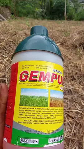 #cuantampabatas #keranjangkuning #wibgajian 