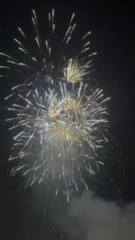 Nghe cái nhạc mà nhớ Tết của ngày xưa quá🎆 mong cho năm nay mọi người đều bình an và hạnh phúc 🎆🎆🎆 #tet #tetnguyendan #tet2026