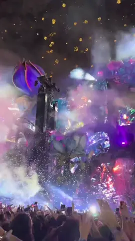 POV: You’re at @Tomorrowland Brasil.  @ŠČ.  #tomorrowland #ElectronicMusic #festival #tomorrowlandbrasil 