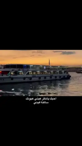 ﮼عيونك،ساكنة،فيني🥹♥️. #fypシ゚ 
