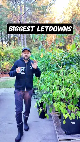 Which plants let you down this year? 😅🌱 Sometimes things don’t grow the way we hope, and that’s totally okay! 💚 My dwarf tamarillo didn’t deliver 🍅, the trifoliate orange was… a flavor experience 🤢🍊, and the shade from that oak tree? 🌳 Yeah, my poor fruit trees weren’t happy about that 😬🍒🍎 But remember, failing is just the first attempt in learning 💪✨ Every setback is a step closer to success! 🌻 What’s been your biggest garden disappointment this season? Tell me in the comments 👇💬 #plants #TikTokLearningCampaign #gardenfails #fruittrees #gardening 