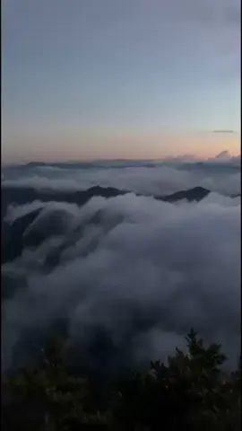 dibalik perbaikan cor tranggulasi MT. MASSIMPOLONGNGE, 13,oktober 2025 kemarin, beberapa anggota kami berhasil mendapatkan momen lautan awan dan awan terjun di puncak buludua🤗😍😍 #pendakisulawesi #massimpolonge #mtmassimpolongnge1254mdpl #lautanawan #awanterjun 