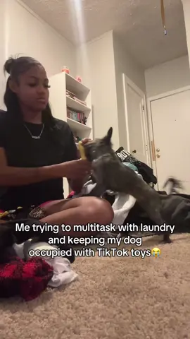 Like leave me aloneeeahhhhhhhhhhh #fyp #dogtoys 