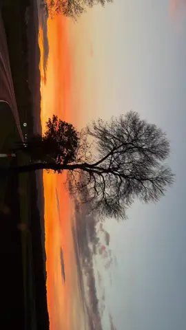 думайте… #реки #fypシ゚ #on #закат #foryou   ну давай напиши за грязное стекло 