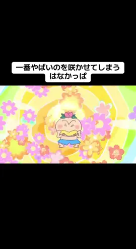 ペイン花が開花しました。 #ペイン#神羅天征#ナルト#はなかっぱ 