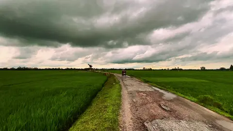 পাশে থাকার প্রতিশ্রুতি, তেঁতুল পাতায় ন'জন। সবাই বলে বাঁচতে হবে, বাঁচতে শেখায় ক'জন।🌸 #প্রকৃতির_অপূর্ব_সৌন্দর্য🥰 #foryou #videography #fyp #songs 