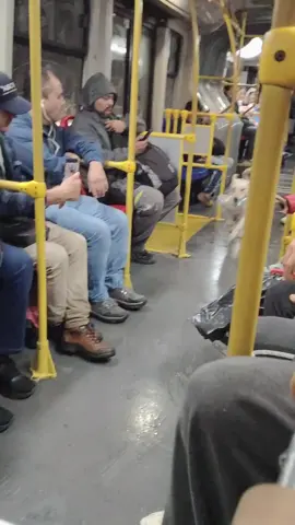 pobresito 😭😭😭#fyp #bogota #transmilenio #oliver #meteorito 