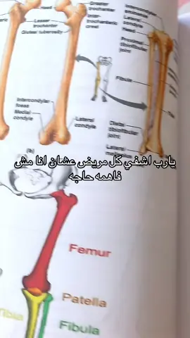 #fyp #viral #تمريض #nursingstudent 