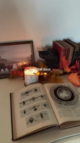 my favorite kind of day #halloweendecor #autumnaesthetic #fallvibes #cozy 