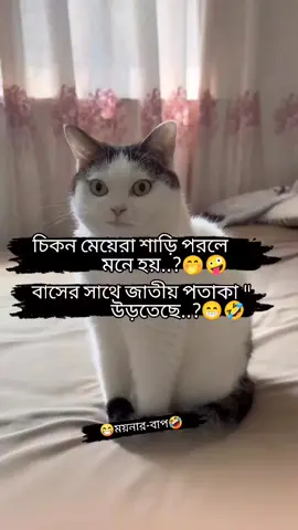 চিকন মেয়েরা শাড়ি পরলে মনে হয় বাসের সাথে জাতীয় পতাকা উড়তেছে!! @TikTok @Tiktok Bangladesh #foryou #viral #viralvideo #ফানি_ভিডিও #fyp 