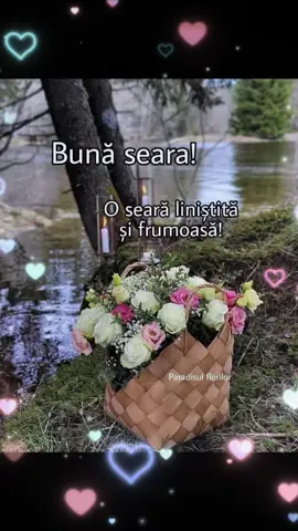 #😘😘😘♥️🌼🌺🌺🌺♥️♥️♥️ 