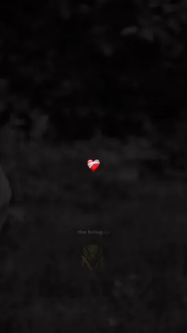 Yasin yefsah ❤️‍🔥 #fyp #tiktokviral #chansonkabyle #song #تكتوك 