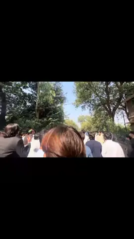 All ICP Federation's Protest against Kso...🚩 #PSF  #islamiacollegepeshawar #islamians  #PSF #fyppppppppppppppppppppppp