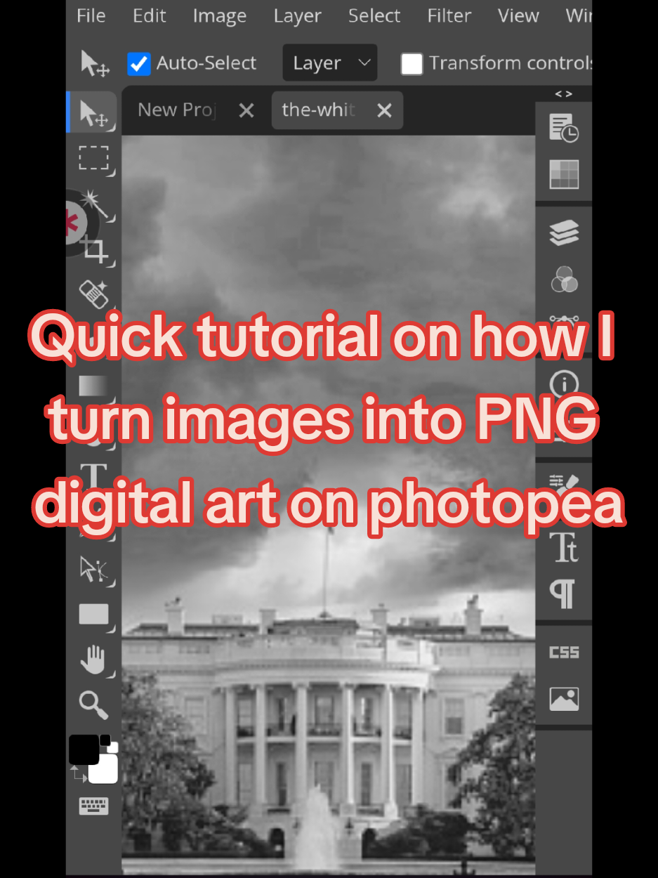 A better video explaining the process will be posted but I have to be more careful editing and posting my content simultaneously on my accounts (I have two accounts) unfortunately, due to this app even though I follow the guidelines for self-business promotion, ECT.  If I post a little less here, I just don't want to lose this account. I built it when I had nothing..it means so much to me and my family. If I'm not posting here, we will definitely be active on Etsy. We just don't want to lose this page and everything we have worked for.  #littlebigtexasproducts #supportsmallbusiness #pngart #png #digitalart @Shannon @Mel 💗 @MELGARTRONS_ART 