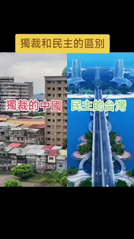 民主和獨裁的區別，台灣永遠在頂端#中國 #台灣 #共產黨 #中共 #台灣人 #8964 #上海 #館長 #