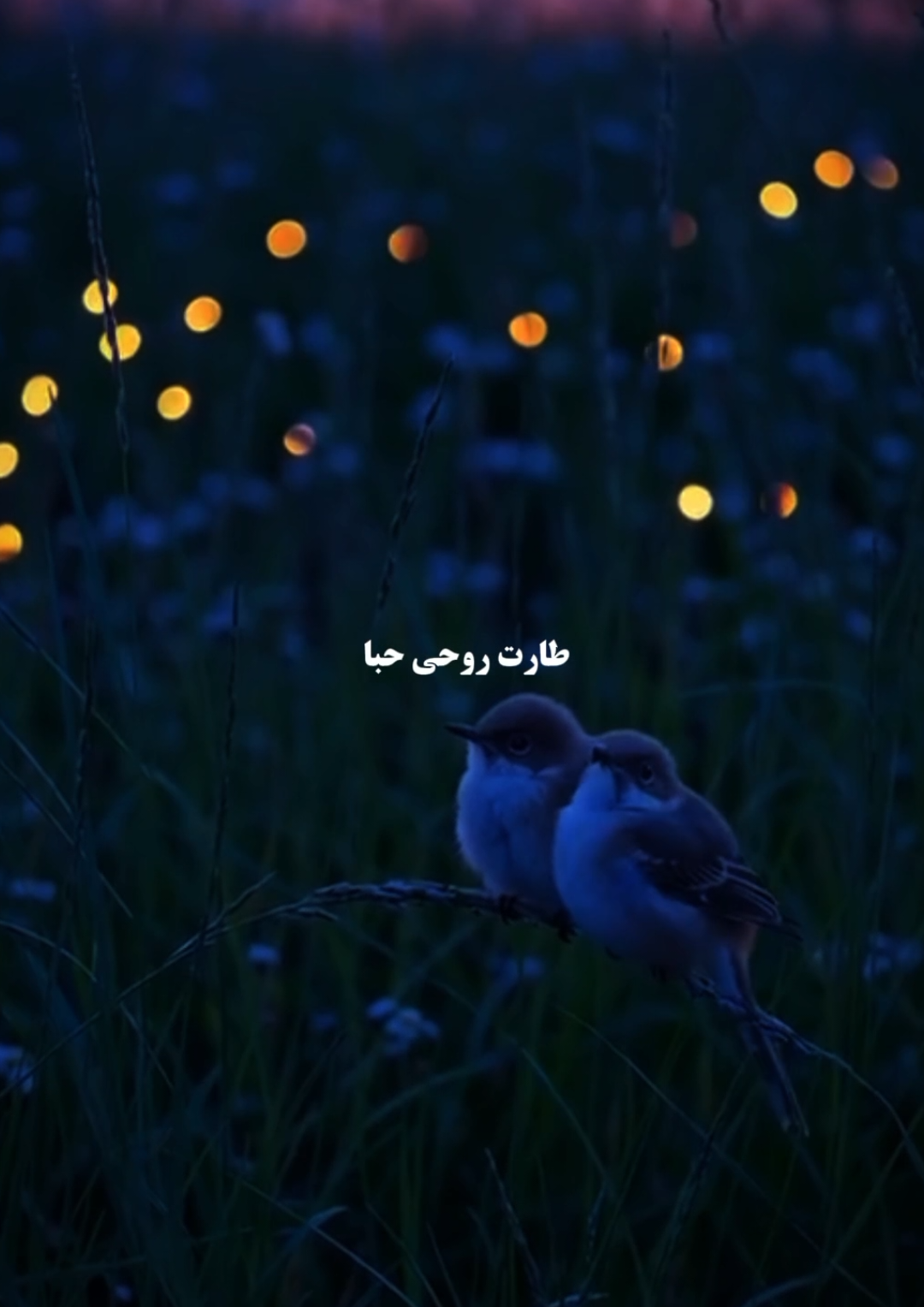 #قلبي_في_المدينة_وجد_السكينه❤️ #fvvnasheed 