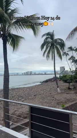 Estamos Pendientes a sus Mensajes!🙌🏻🎃 Si nos mandas mensaje por Instagram o Facebook obtendrás 10% de descuento en Tours✨🎃#puertovallarta #viral #noticias #viraltiktok #tours 