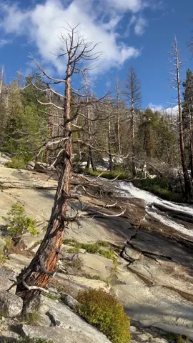 The wilderness quiets down, wrapped in a white veil of peace🌊 #waterfallhike #mountainriver #naturesounds #californiatrails #desolationwilderness 