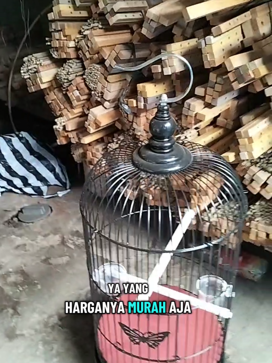 sangkar kandang burung besi bulat pleci hello pet sogon prenjak ciblek GELATIK konin Kolibri diameter 23cm komplit murah #burung #kicaumania #shoptokopedia 