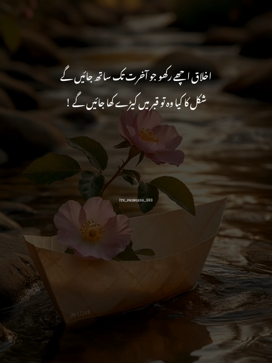 شکل کا کیا وہ تو قبر میں کیڑے کھا جائیں گے۔ ! #poetry #deeplines #fypviraltiktok🖤シ゚☆♡ #unfreezemyaccount #deep_lines_098 @TikTok 