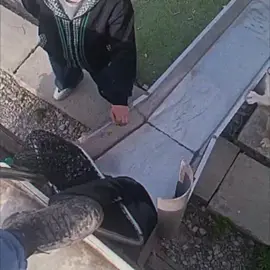 бригада:собака от потока воды скатилась в реку  начала тонуть,но её успели спасти!!!!!С СОБАКОЙ ВСЕ ХОРОШО!!!!!#врек#рек#врекомендации#хакассия#абакан#жалкособакк#грустно