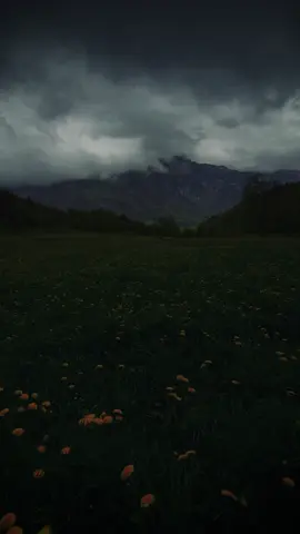 Peaceful moments in Swiss nature 🇨🇭🌿🖤 #relaxing #nostalgia #calmvibes #explore #darkaesthetic 