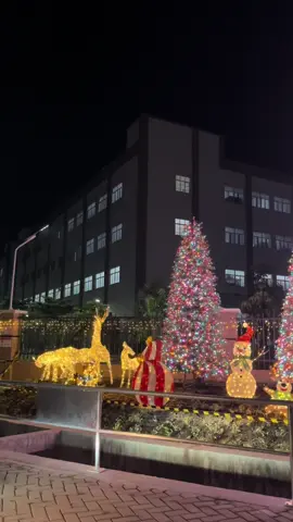 cute bgtt poly #kawasanindustrikendal #polygroup #pohonnatal #cute#fy  