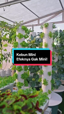 1.	🌿 Mulai mandiri pangan dari rumah — sederhana, sehat, dan bikin hidup lebih tenang. 	2.	Gak perlu lahan luas buat mulai. Cukup niat, pipa, dan beberapa tanaman hijau. 	3.	Siap-siap ke 2030 bukan cuma soal teknologi, tapi juga soal ketahanan diri. 	4.	Dari kebun kecil di rumah, kamu bisa dapet ketenangan, rasa cukup, dan arti hidup baru. 	5.	Slow living versi produktif — tanam, panen, nikmati hasilnya sendiri. #hidroponik #hidroponikpemula 