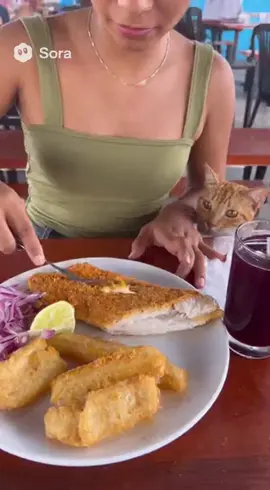 Gato naranja tenía que ser, se robó mi pescado #Gato #roba #sora #sora2 #IA
