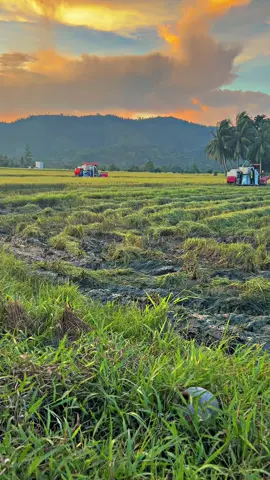 #CapCut @Nasir @AlDi09 @Kiminblackpink #combineharvester #pagalungkonten 