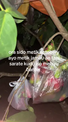 amet puorr #blitar24jam 