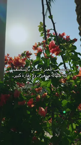 يامصعب العمر لاصار بالمنتصف  ‏لابه جهالة صغير.. ولا وقارة كبير#بدون_موسيقى #تصميمي❤️ #تصويري📷 #اكسبلورexplore #اصوات_جميلة 