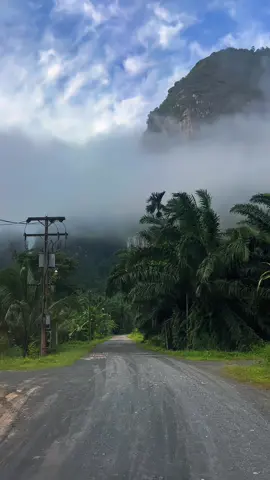 🌿⛰️🌳 #ธรรมชาติบําบัด #ฮิลใจ #ภูเขา #bridgehillcafe💚🤍 #สุราษฎร์ธานี 