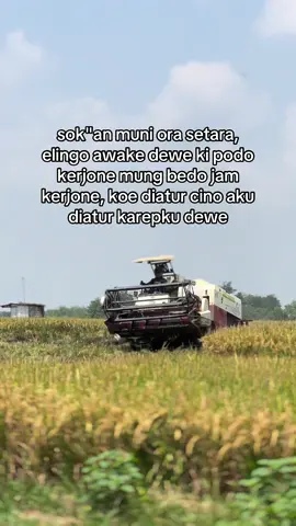 podo kerjone                                                    #combineharvester #bimo102ss #putratunggalgrup #gabahgank #fyp 