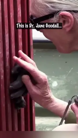tất cả các video truyền cảm hứng thì sẽ đều có mục đích hướng người ta chạm đến cảm xúc đã chôn sâu trong lòng. ❤️
