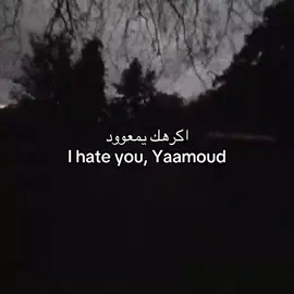 #explore #foryou #🇮🇶 