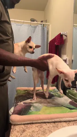 Good morning… Say it back 