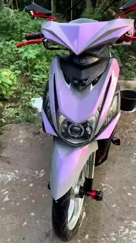 #skotletlembayung 