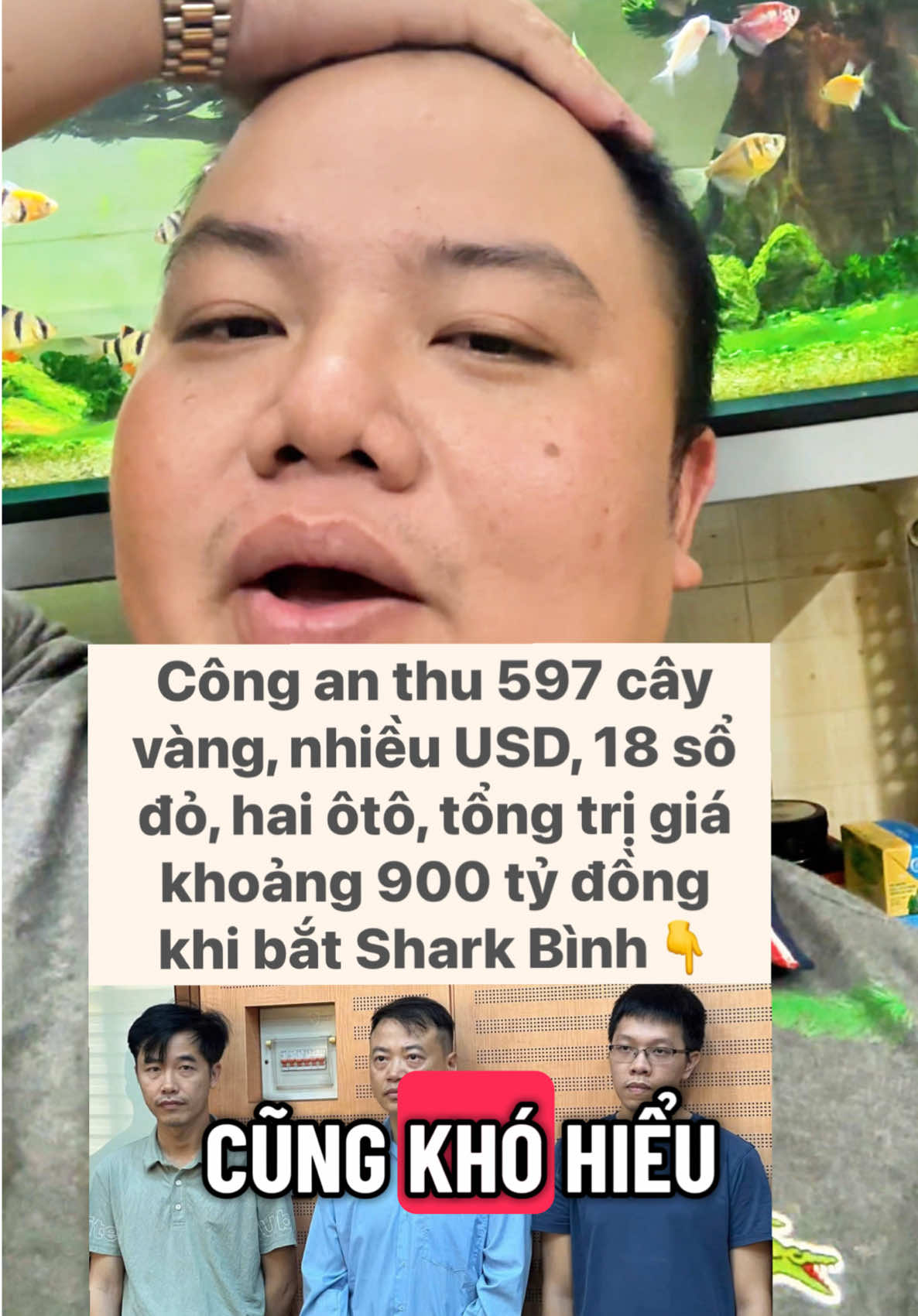 #sharkbinh  bị bế