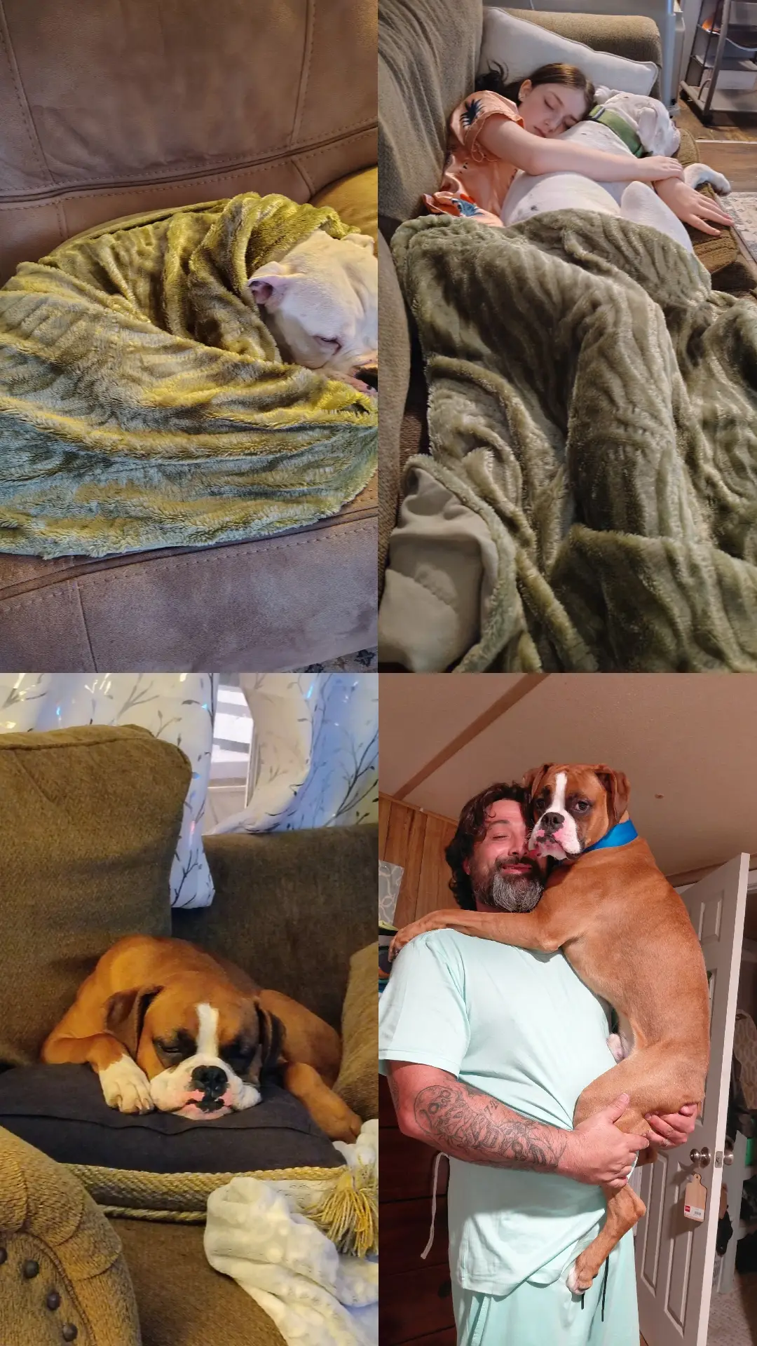 I love these babies ❣️ One will watch you get smurded while hiding in the closet. The other will jump through a fire for you. 