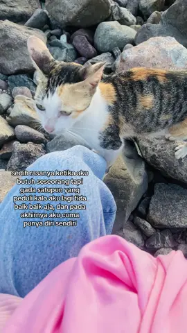 lucu bgt meng nya tiba tiba dateng 