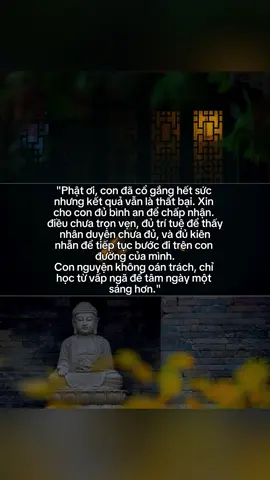 Con nguyện không oán trách, chỉ học từ vấp ngã để tâm ngày một sáng hơn.