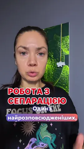 #кінолог #дресируваннясобак #кінологукраїна #собачежиття #собака 