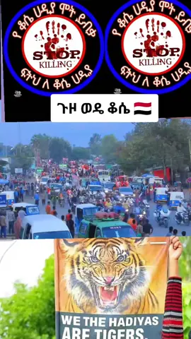 #ኢትዮጵያ_ #ለዛላለም_ትኑር🇪🇹🇪🇹_የእናት_ሀገር_🇪🇹 #_እኖድሻለን🇪🇹#one🇪🇹Love 🇪🇹🇾🇪