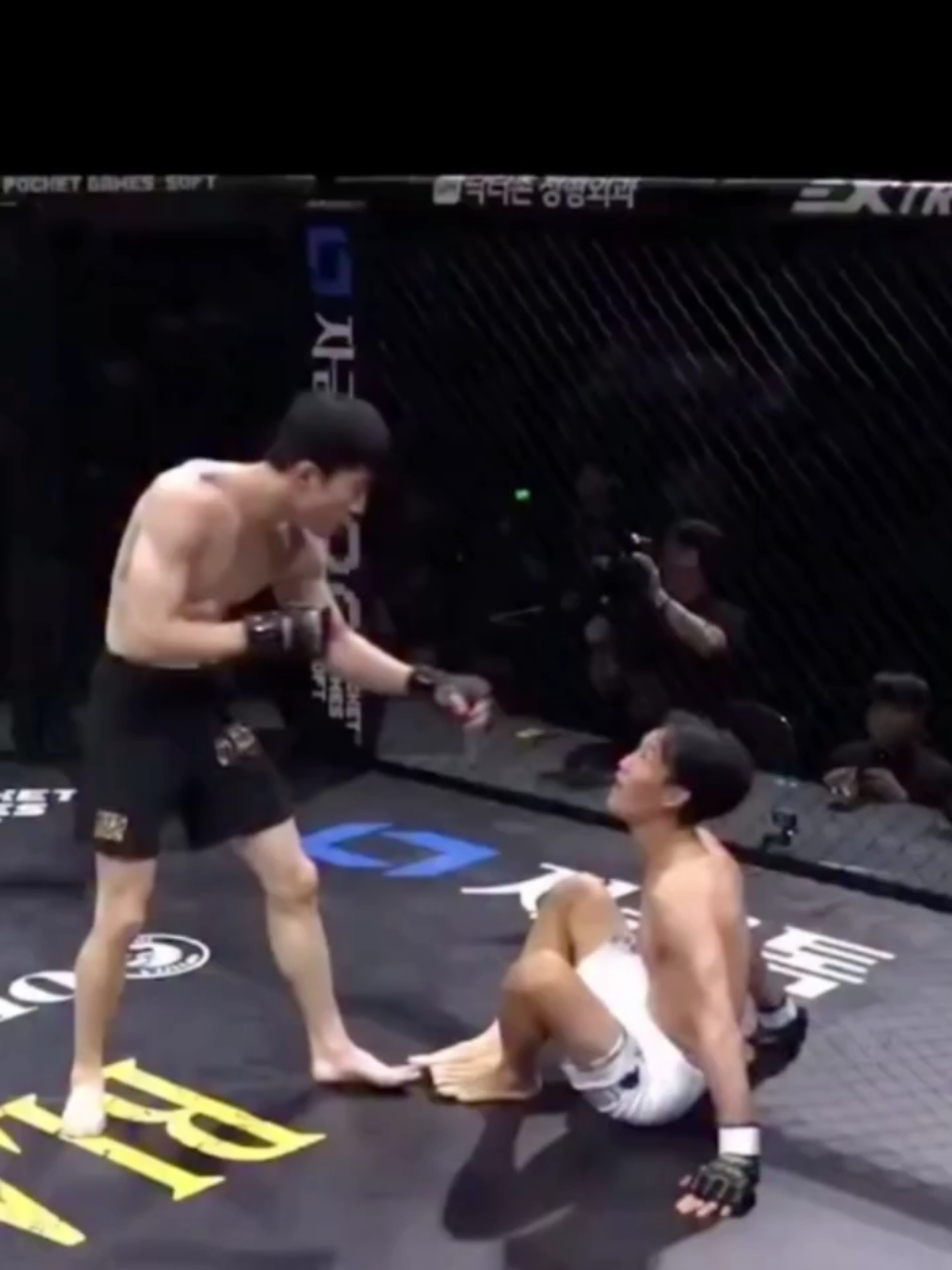 #nocaute #mma #esporte #foryou 
