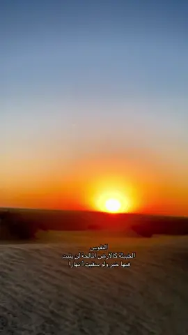 #بادية_العراق 