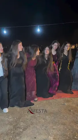 Kurdish wedding☀️#kurdishgirl #kurdishwedding #derecikdüğünleri #gerdi 