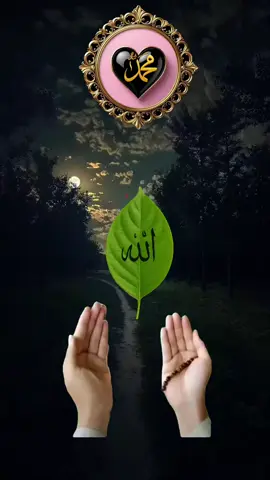 #صباح_الخير #امین_یارب_العالمیــــــــــن🤲🏻🥺 